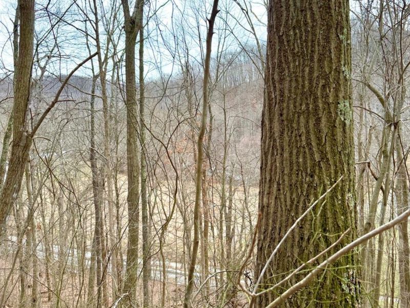 0 Straight Creek Road, Jackson Twp, OH 45613 Photo 33