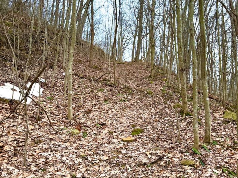 0 Straight Creek Road, Jackson Twp, OH 45613 Photo 33