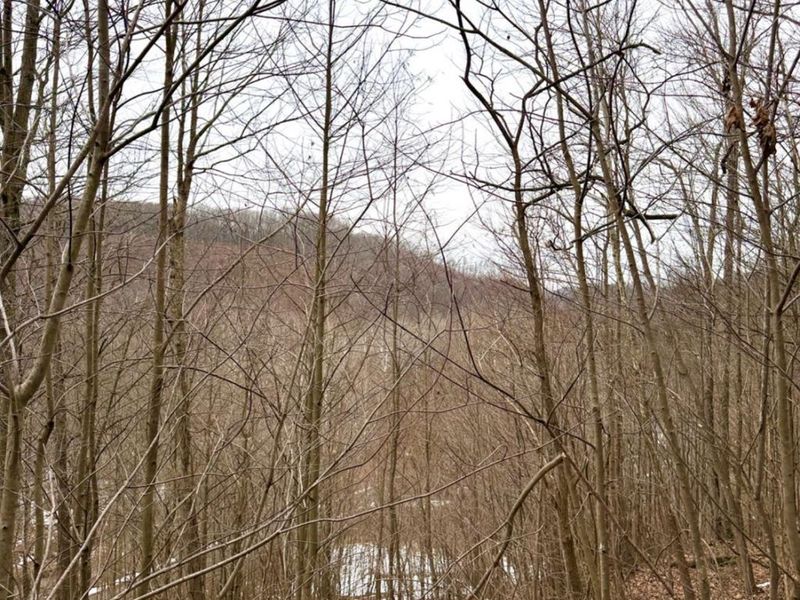 0 Straight Creek Road, Jackson Twp, OH 45613 Photo 34