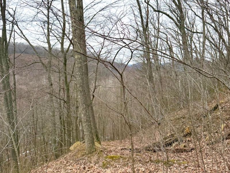 0 Straight Creek Road, Jackson Twp, OH 45613 Photo 35