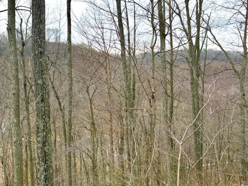 0 Straight Creek Road, Jackson Twp, OH 45613 Photo 37
