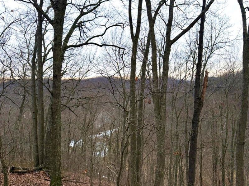 0 Straight Creek Road, Jackson Twp, OH 45613 Photo 37