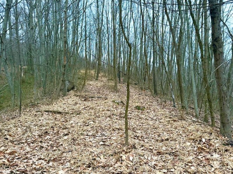 0 Straight Creek Road, Jackson Twp, OH 45613 Photo 41