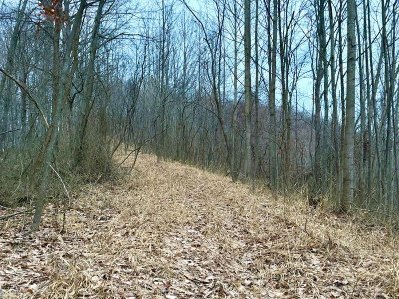 0 Straight Creek Road, Jackson Twp, OH 45613 Photo 42