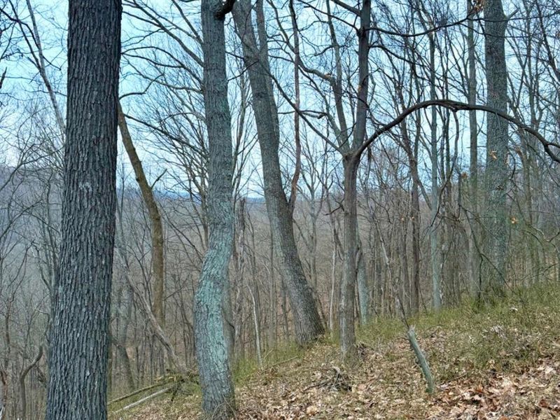 0 Straight Creek Road, Jackson Twp, OH 45613 Photo 44