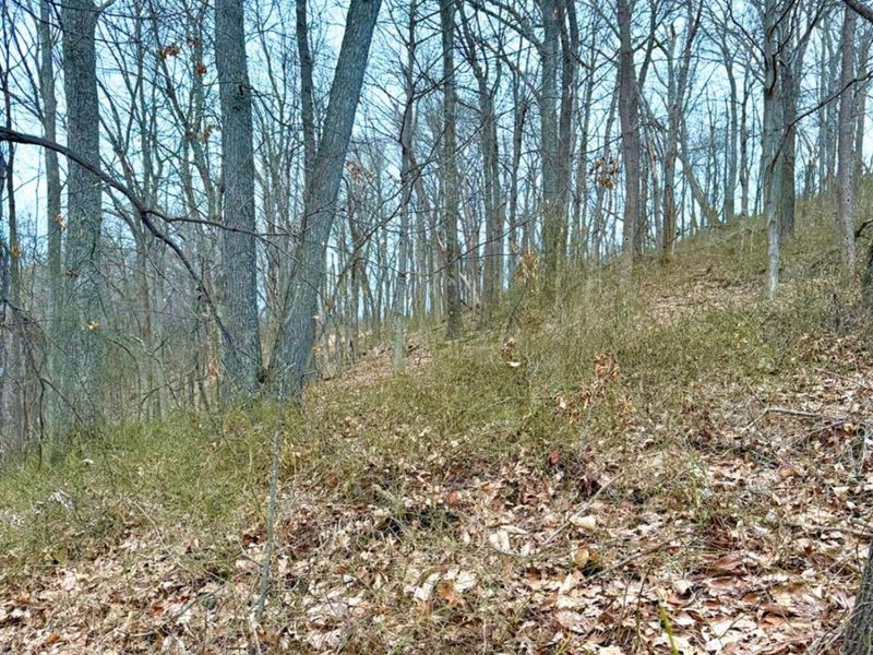 0 Straight Creek Road, Jackson Twp, OH 45613 Photo 45