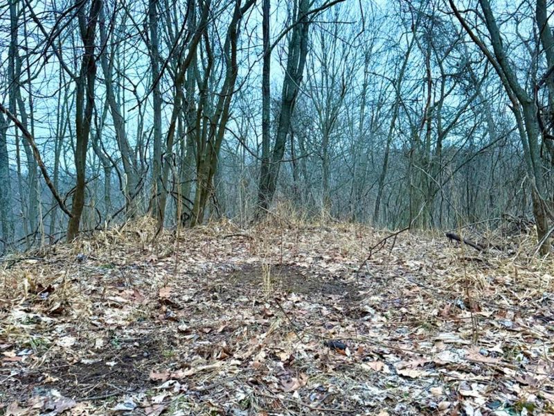 0 Straight Creek Road, Jackson Twp, OH 45613 Photo 46