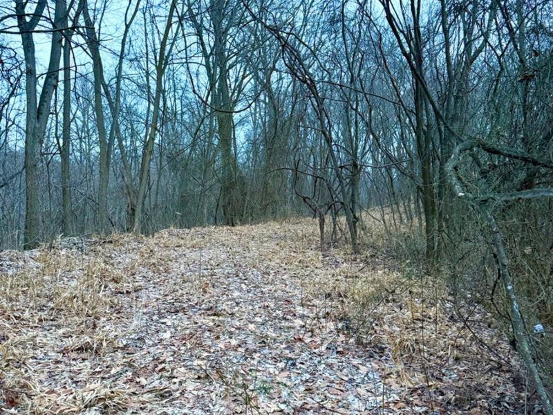 0 Straight Creek Road, Jackson Twp, OH 45613 Photo 49