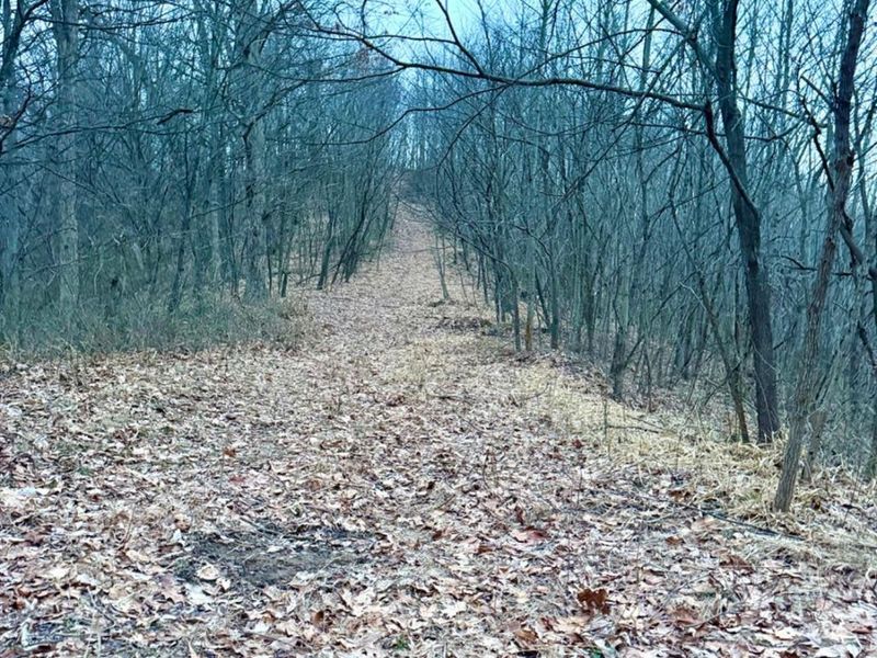 0 Straight Creek Road, Jackson Twp, OH 45613 Photo 5