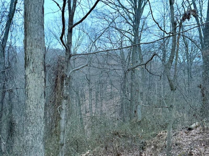 0 Straight Creek Road, Jackson Twp, OH 45613 Photo 50