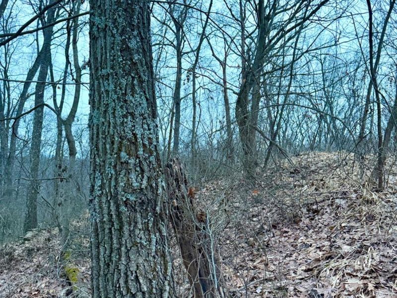 0 Straight Creek Road, Jackson Twp, OH 45613 Photo 51