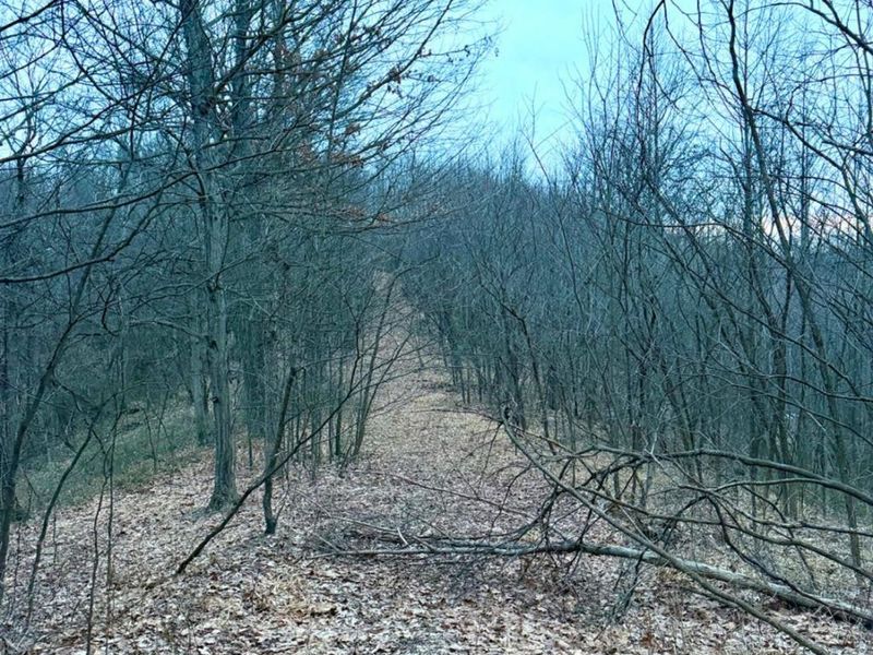 0 Straight Creek Road, Jackson Twp, OH 45613 Photo 53