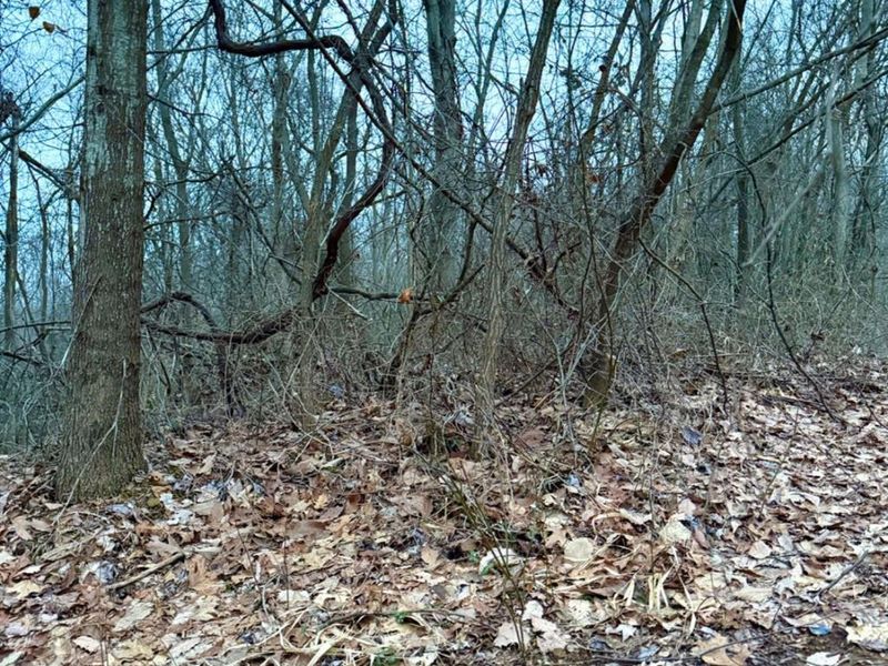 0 Straight Creek Road, Jackson Twp, OH 45613 Photo 59