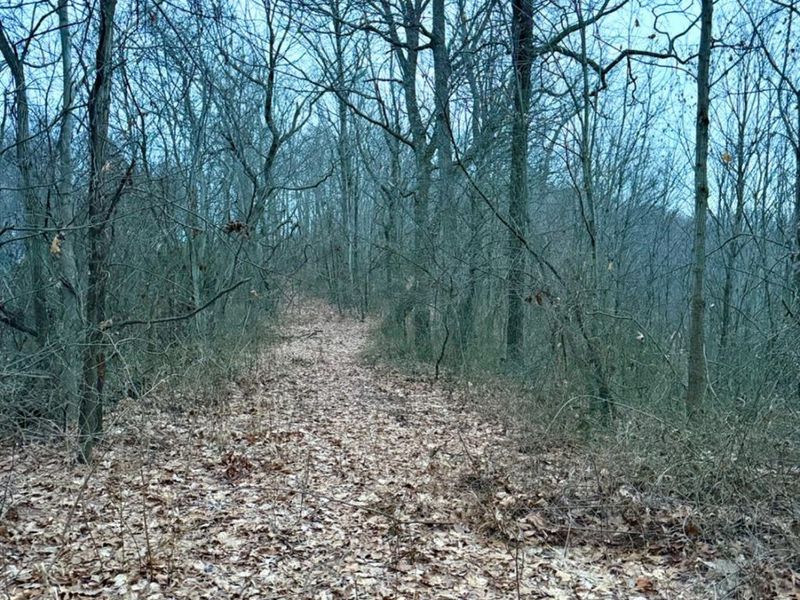 0 Straight Creek Road, Jackson Twp, OH 45613 Photo 61