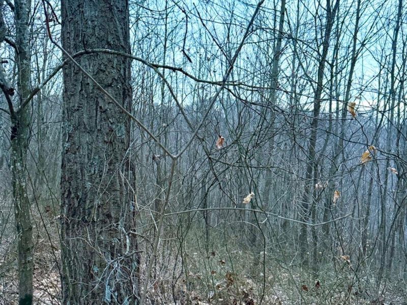 0 Straight Creek Road, Jackson Twp, OH 45613 Photo 62