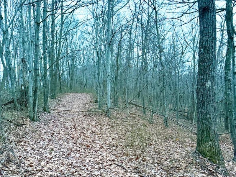 0 Straight Creek Road, Jackson Twp, OH 45613 Photo 63