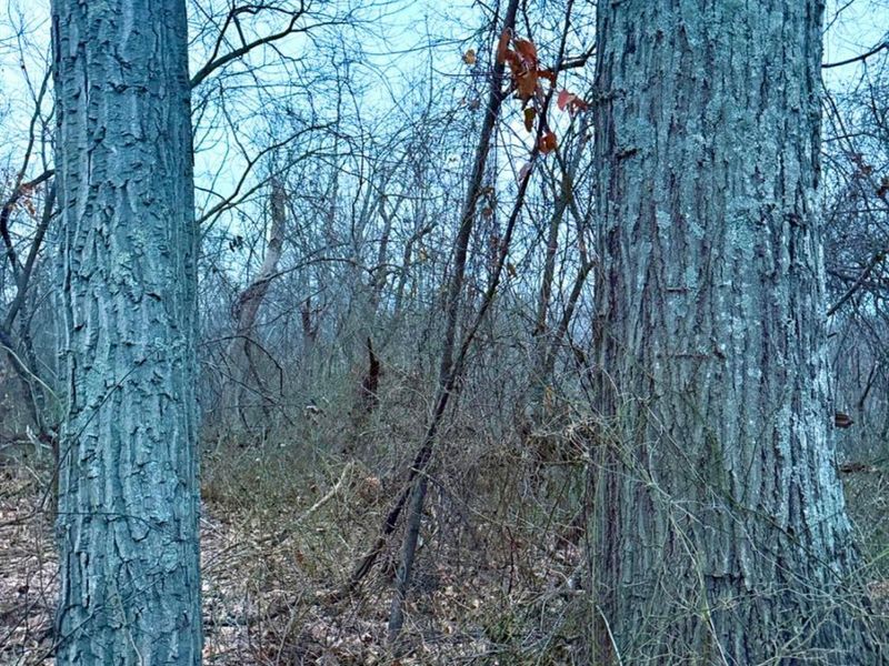 0 Straight Creek Road, Jackson Twp, OH 45613 Photo 66