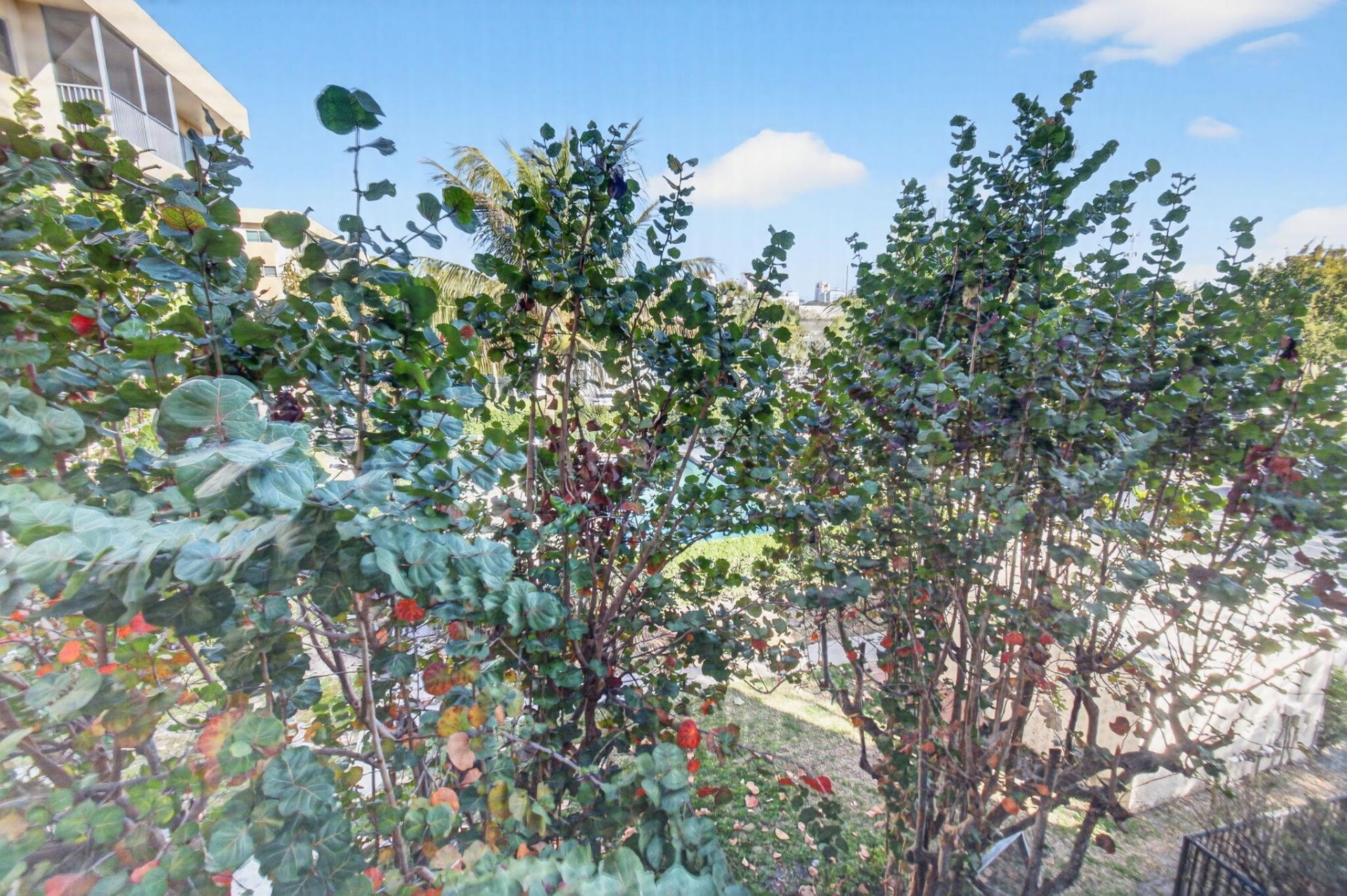 50 SW 3rd Avenue, Unit 311, Boca Raton, FL 33432 Photo