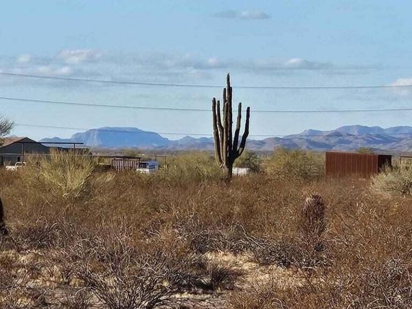 21600 2A W Galvin Street, Unit 1, Wittmann, AZ 85361