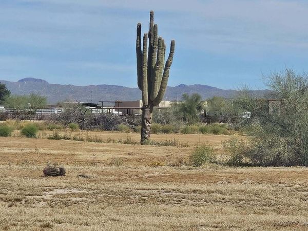 21600 1A W Galvin Street, Unit 2, Wittmann, AZ 85361