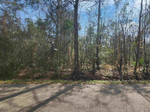 Lot 2 Hemisphere Ln, Denham Springs, LA 70726