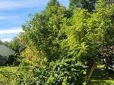 0 DAYS MILL ROAD, YORK, PA 17403