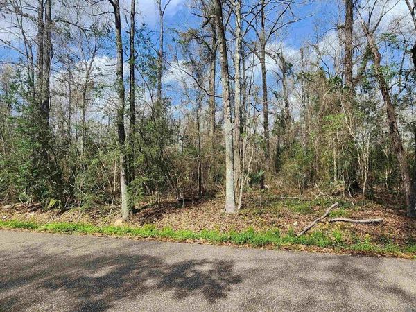 Lot 23-B Hemisphere Ln, Denham Springs, LA 70726