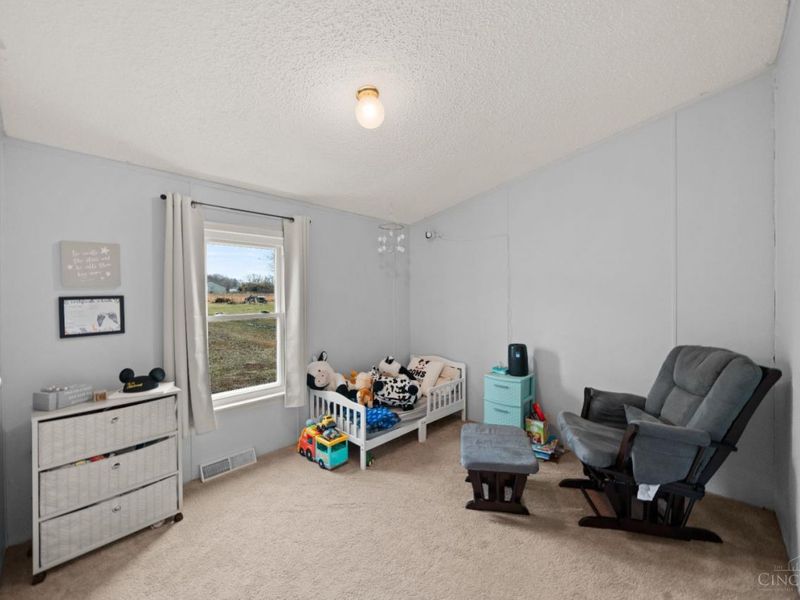 1915 Stumpy Lane, Goshen Twp, OH 45122 Photo 13