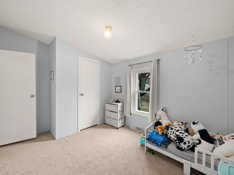 1915 Stumpy Lane, Goshen Twp, OH 45122 Photo 14