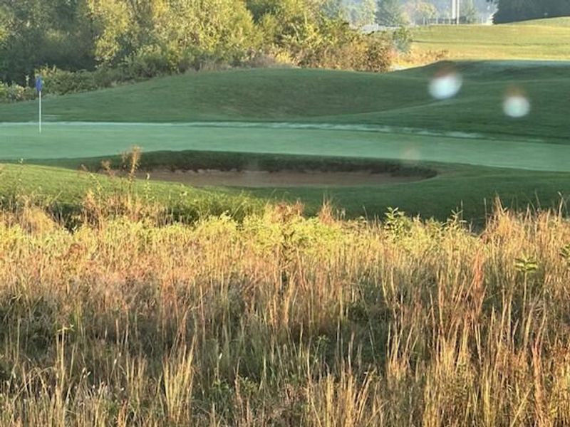 7342 New Albany Links Drive, New Albany, OH 43054 Photo 88