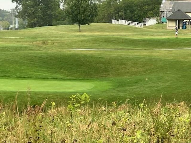 7342 New Albany Links Drive, New Albany, OH 43054 Photo 89