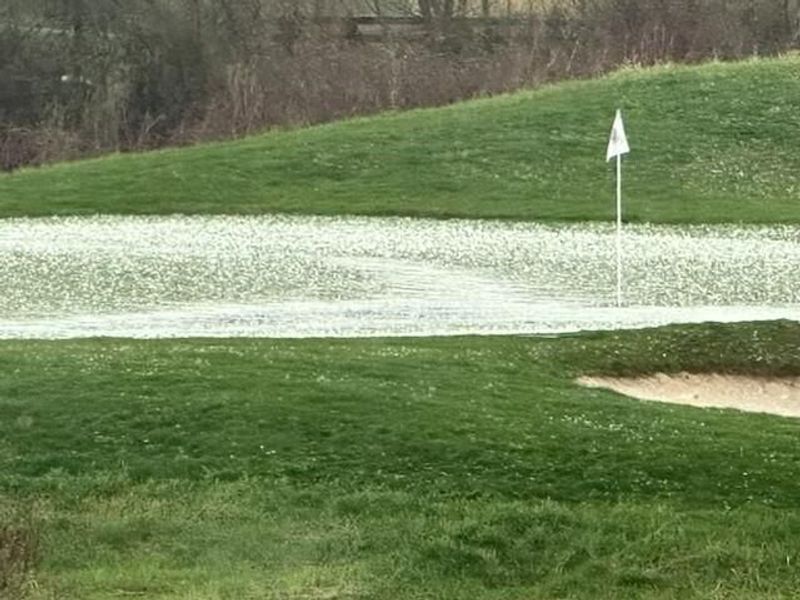 7342 New Albany Links Drive, New Albany, OH 43054 Photo 90