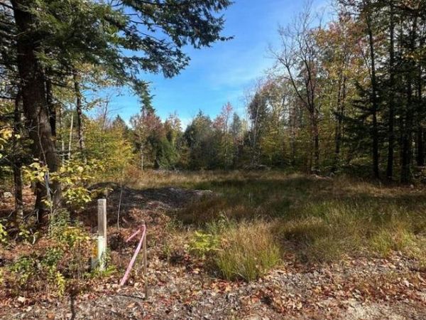 Lot 2 Hancock Pond Rd, Sebago, ME 04029