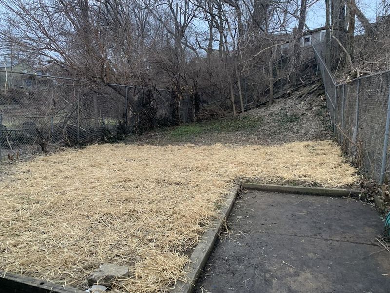 1614 Euclid Avenue, Covington, KY 41014 Photo 20