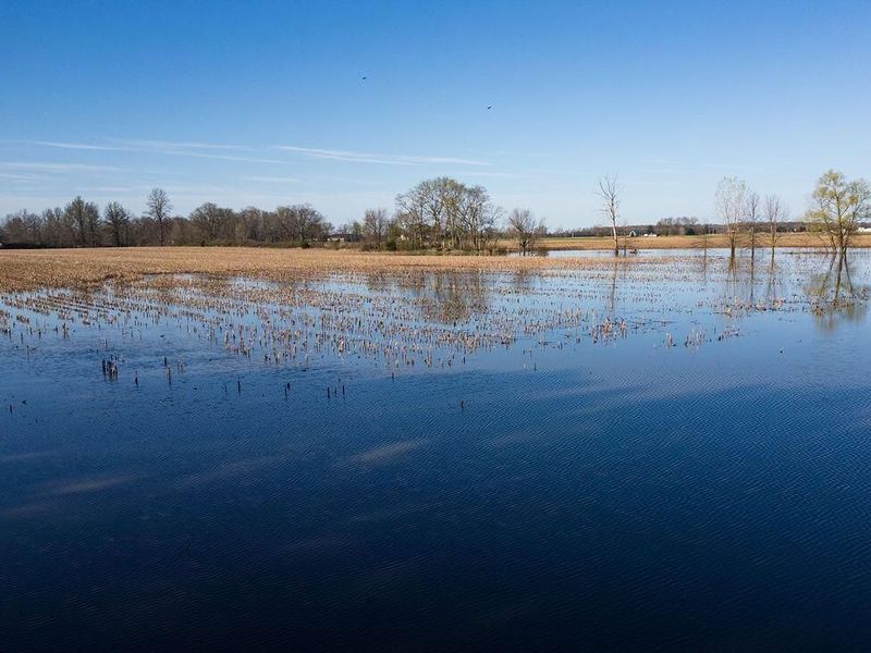 0 Township Road 65, Edison, OH 43320 Photo 16