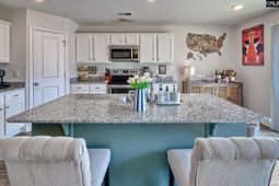 243 Bent Holly Drive  photo 4