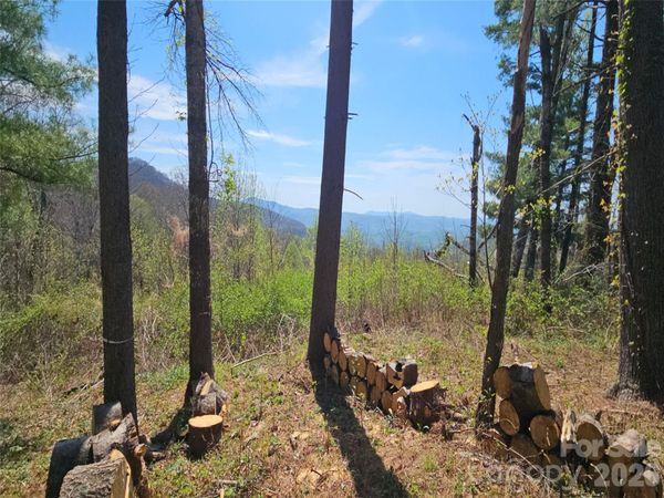 #178 Dancing Bear Drive, Hendersonville, NC 28792