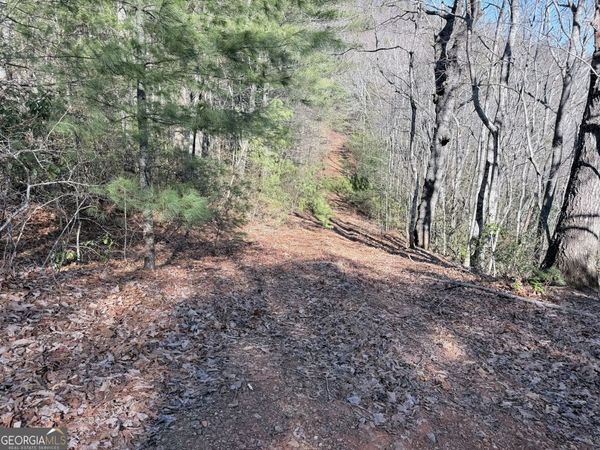 0 Rabun Bluffs Drive, Lakemont, GA 30552