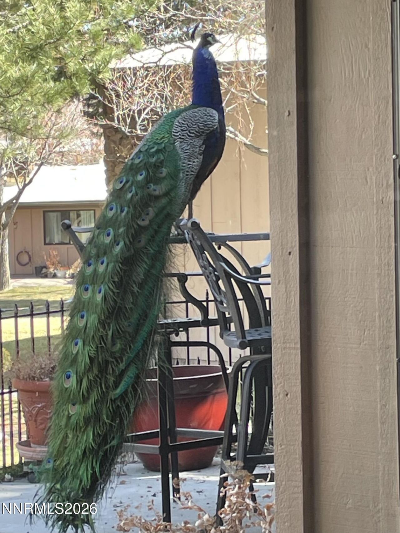 186 Lake Glen Drive, Carson City, NV 89703 Photo