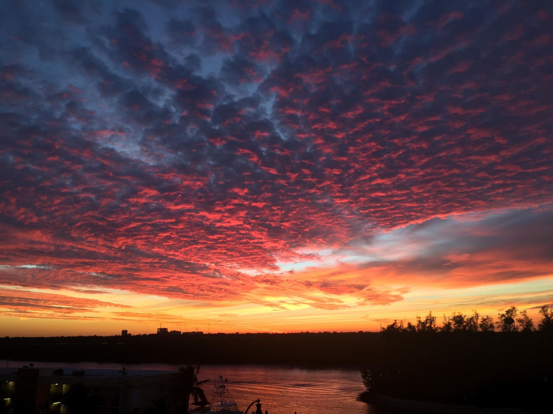 3415 N Ocean Drive, Unit 505, Hollywood, FL 33019 Photo