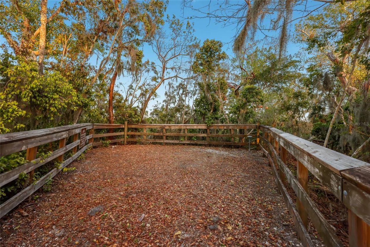 115 Burns Road, Terra Ceia, FL 34250 Photo