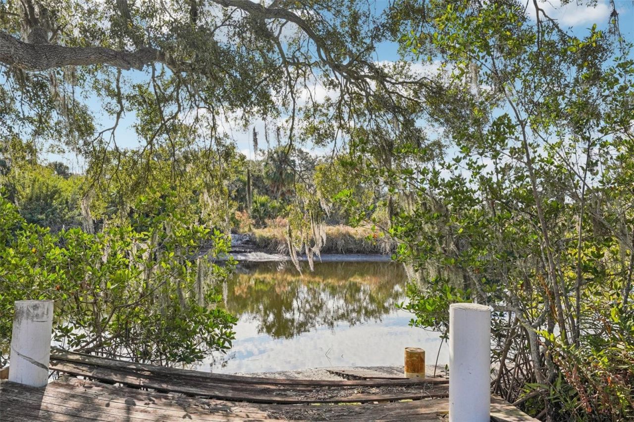 10826 Twin Palms Ranch Road, Gibsonton, FL 33534 Photo