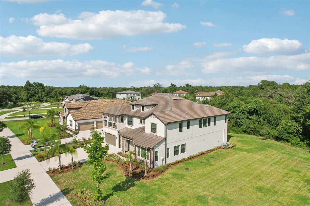 2903 Cordoba Ranch Boulevard, Lutz, FL 33559 Photo