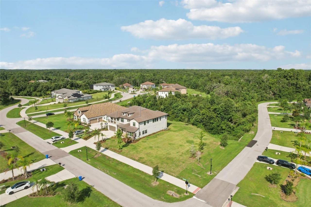 2903 Cordoba Ranch Boulevard, Lutz, FL 33559 Photo