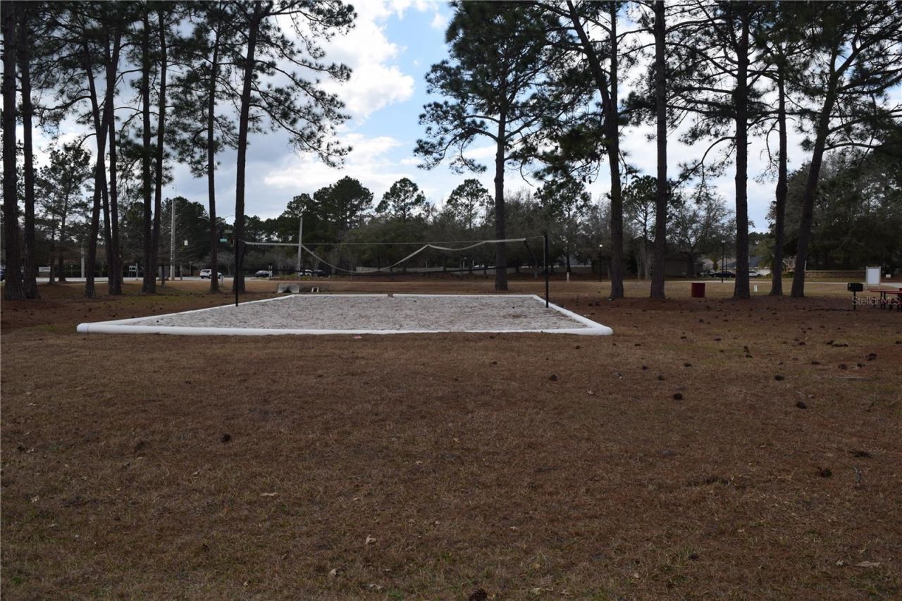 8664 Derry Drive, Jacksonville, FL 32244 Photo