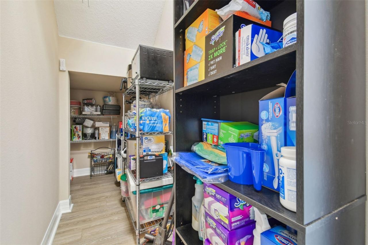 2566 Lake Manor Drive, Land O Lakes, FL 34639 Photo