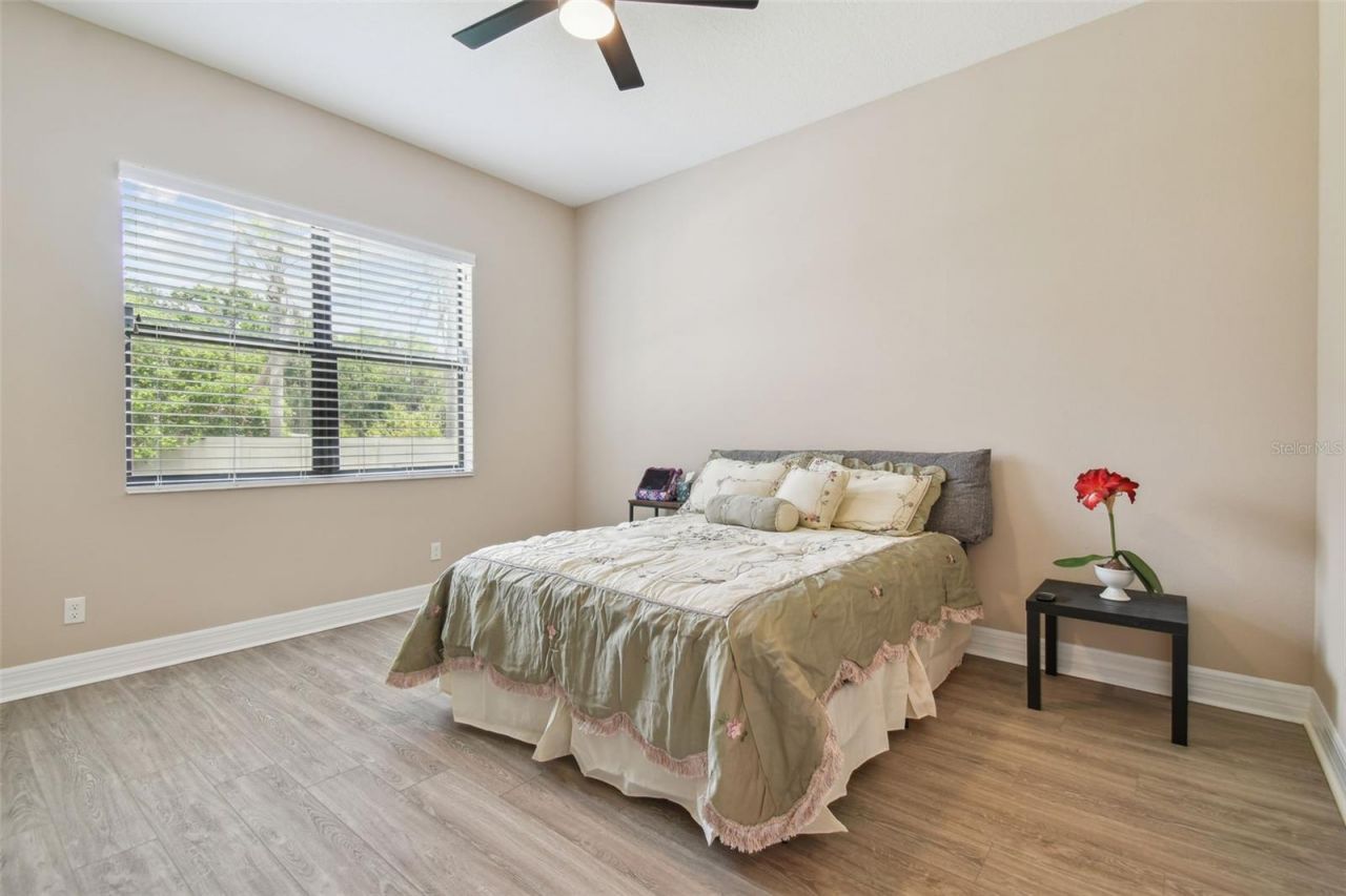 2566 Lake Manor Drive, Land O Lakes, FL 34639 Photo