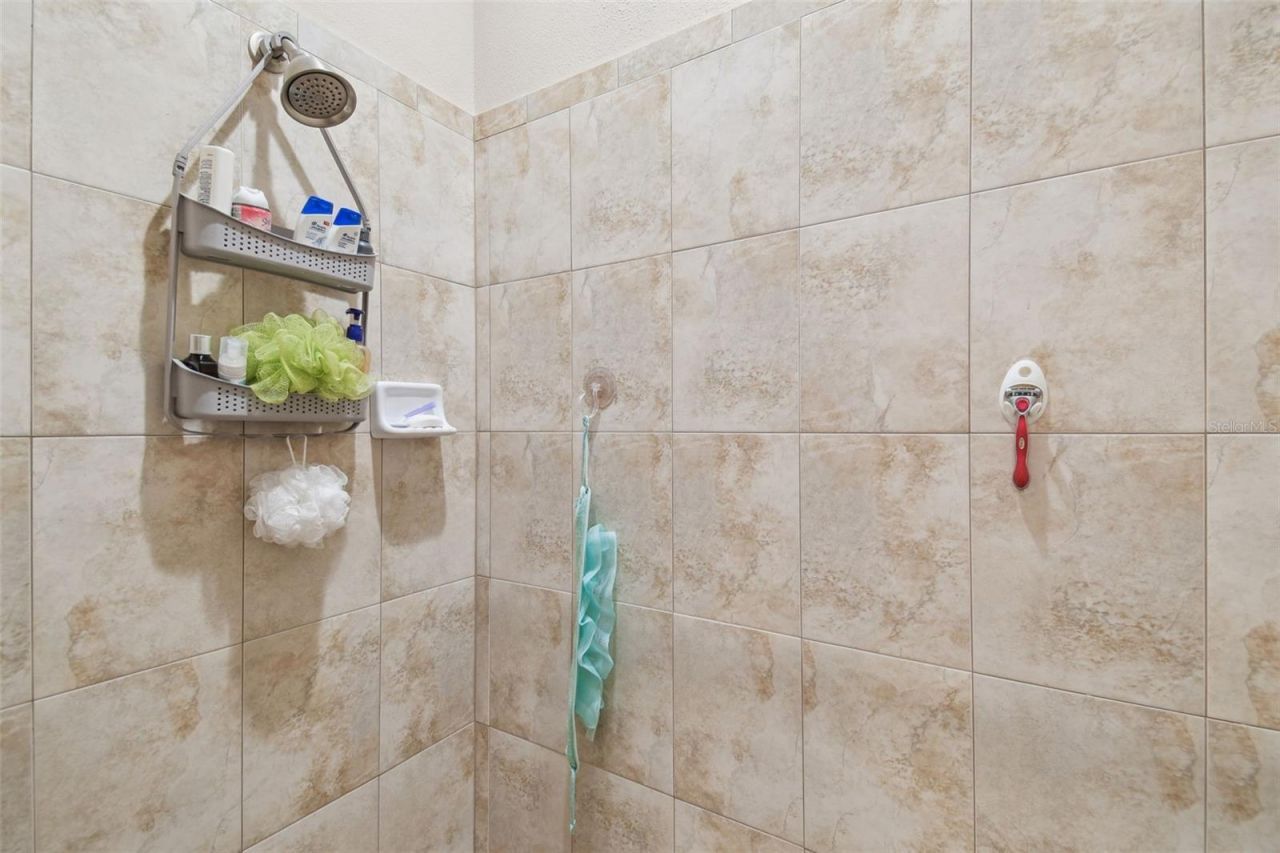 2566 Lake Manor Drive, Land O Lakes, FL 34639 Photo