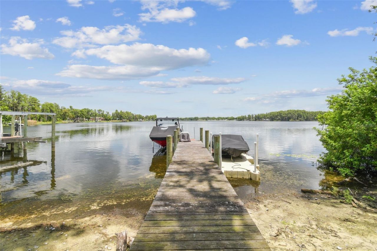2566 Lake Manor Drive, Land O Lakes, FL 34639 Photo