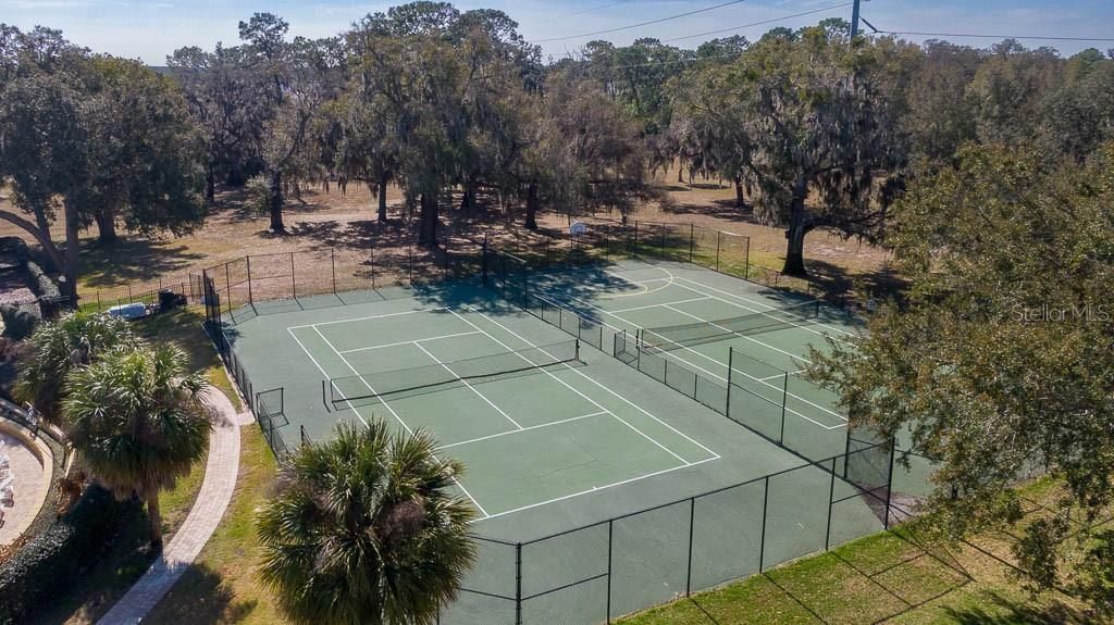 33803 Terragona Drive, Sorrento, FL 32776 Photo